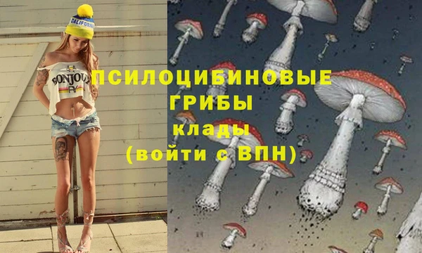 гашишное масло Алексеевка