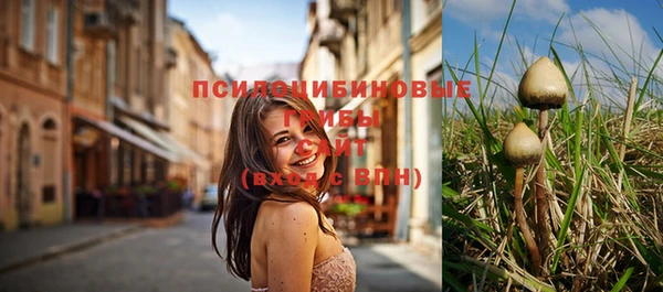 герыч Алексин