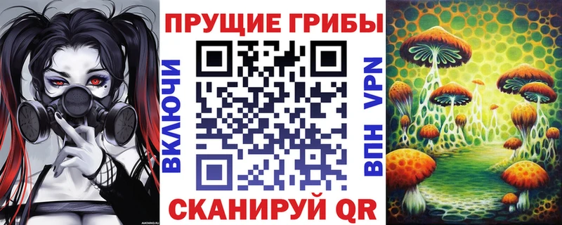 Псилоцибиновые грибы Cubensis  Киров 